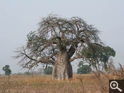  - (1970-01-01&nbsp;2007) - Photo Album Amy and Arthur