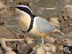  - (1970-01-01&nbsp;2007) - Photo Album Amy and Arthur