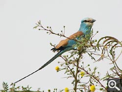  - (1970-01-01&nbsp;2007) - Photo Album Amy and Arthur