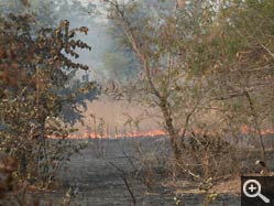  - (1970-01-01&nbsp;2007) - Photo Album Amy and Arthur