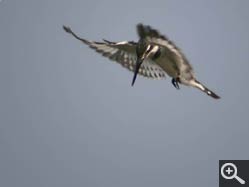  - (1970-01-01&nbsp;2007) - Photo Album Amy and Arthur