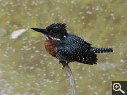  - (1970-01-01&nbsp;2007) - Photo Album Amy and Arthur