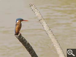  - (1970-01-01&nbsp;2007) - Photo Album Amy and Arthur