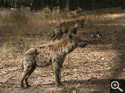  - (1970-01-01&nbsp;2007) - Photo Album Amy and Arthur