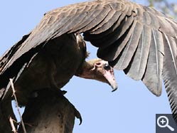  - (1970-01-01&nbsp;2007) - Photo Album Amy and Arthur