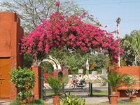 Taj Nature Walk, Agra, India