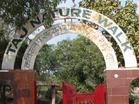 Taj Nature Walk, Agra, India