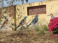 Taj Nature Walk, Agra, India