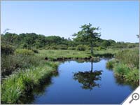 Chaussée Neuve, Parc Naturel Régional de Brière, France