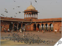 Jama Masjid Mosque, Delhi, India