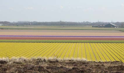 Noord Holland, the Netherlands