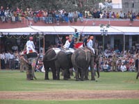 Elephant Festival 2006, Jaipur India