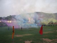 Elephant Festival 2006, Jaipur India