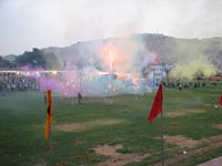 Elephant Festival 2006, Jaipur India