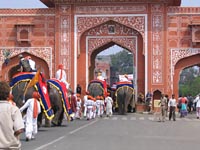 Elephant Festival 2006, Jaipur India