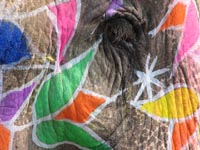 Elephant Festival 2006, Jaipur India