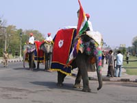 Elephant Festival 2006, Jaipur India