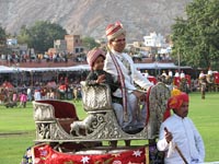 Elephant Festival 2006, Jaipur India