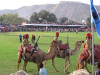 Elephant Festival 2006, Jaipur India