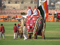 Elephant Festival 2006, Jaipur India