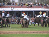 Elephant Festival 2006, Jaipur India