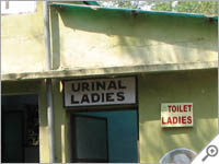 Ladies urinal