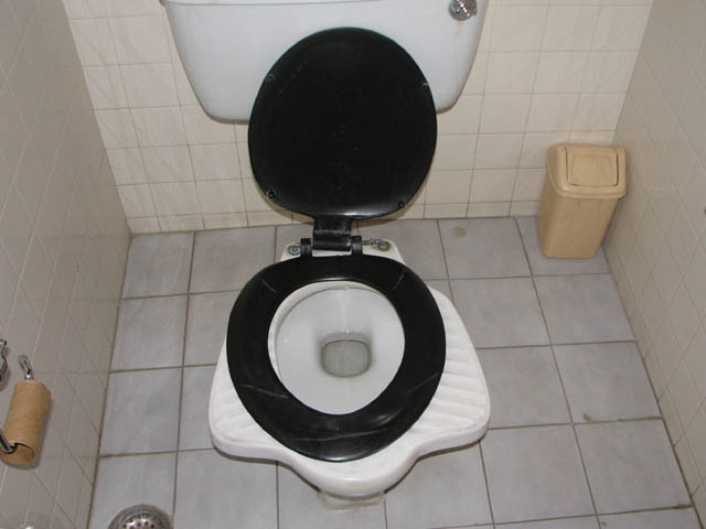 Hybrid Indian/Western toilet