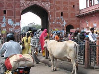 City gate in Jaipur, India