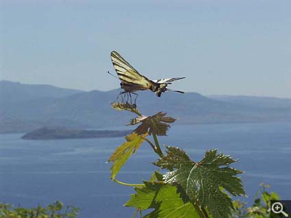 Lesbos, Greece