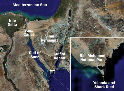 Location of Yolanda and Shark Reef Map