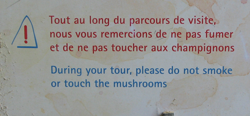 Do not smoke mushrooms