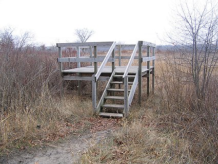 Dead River Trail Overlook