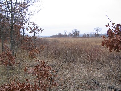 Illinois Beach State Park