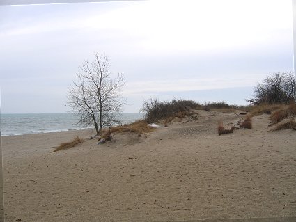 Lake Michigan Beach