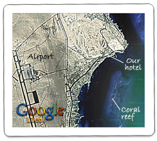 Google Local map