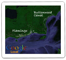 Google Local map