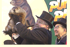 Punxsutawney Phil