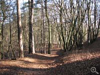 Koningshof at Zuid Kennemerland