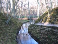 Elswout at Zuid Kennemerland