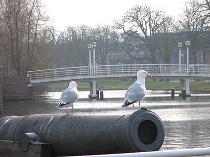 Weddesteegplein, Leiden