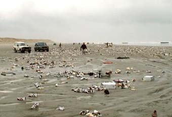 Beached shoes on Terschelling