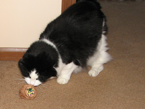Fourth Nip Toy Fourth Nip Toy