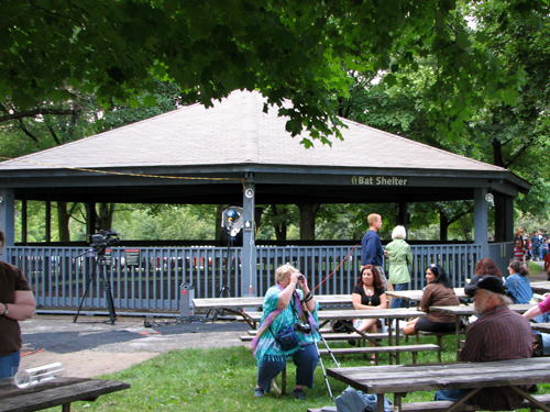 Bat Shelter Bat Shelter