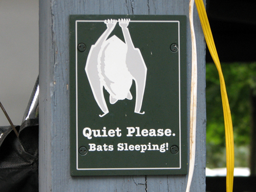 Quiet Please. Bats Sleeping! Quiet Please. Bats Sleeping!