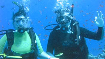 Diving in the Red Sea