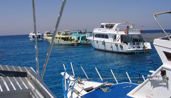 Gotha Abu Ramada East dive site